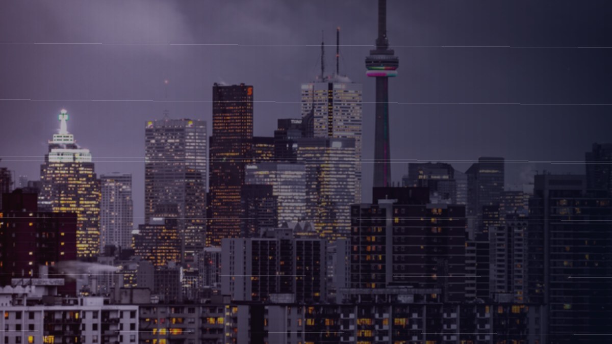 5 Things to Do After Launching Your WordPress Site